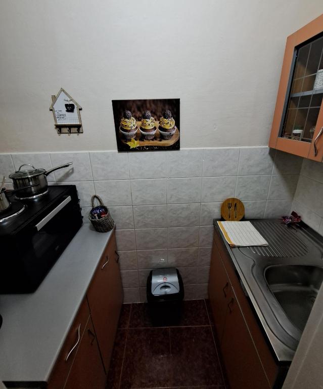 Kuchyň nebo kuchyňský kout v ubytování Apartman Dream M Zaječar