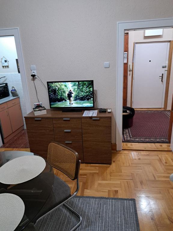 TV a/nebo společenská místnost v ubytování Apartman Dream M Zaječar