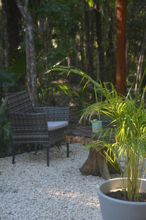 Zahrada ubytování Glamping Mayan Glam
