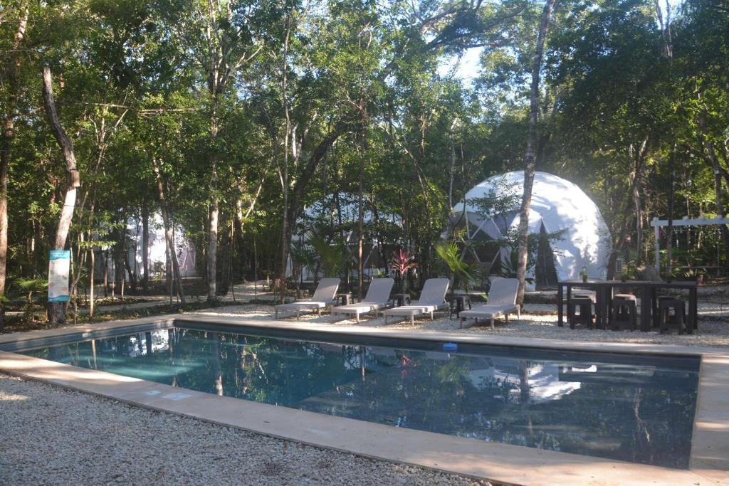 Bazén v ubytování Glamping Mayan Glam nebo v jeho okolí