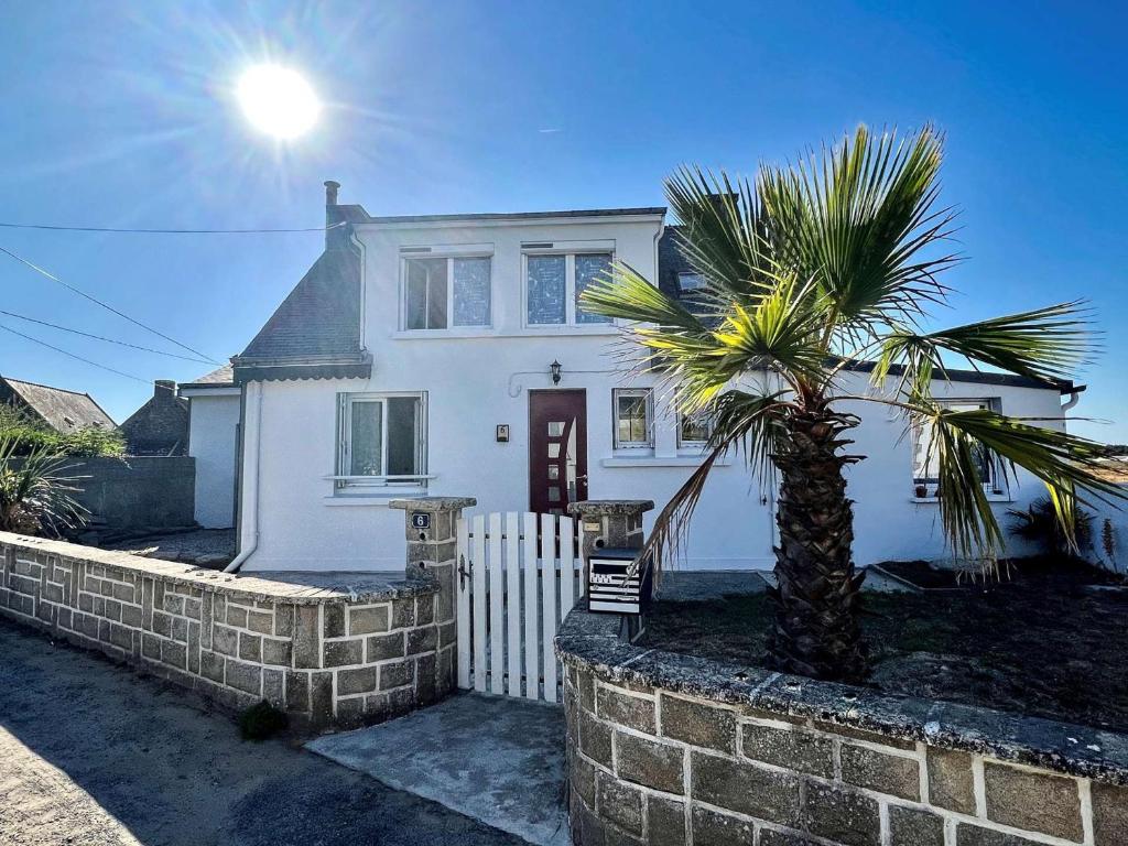 une maison blanche avec un palmier devant dans l'établissement Maison moderne à Plouhinec avec jardin clos, Wifi, animaux admis, proche plages - FR-1-479-181, à Plouhinec