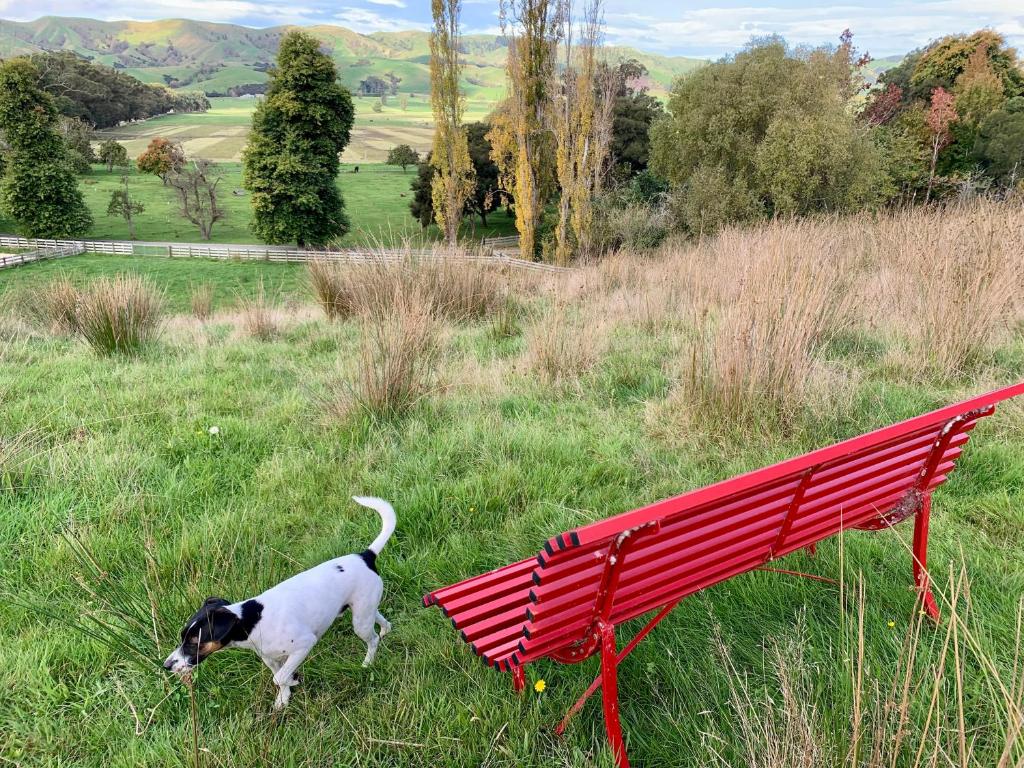 The Venus room at Glendower Homestead - Resim 14