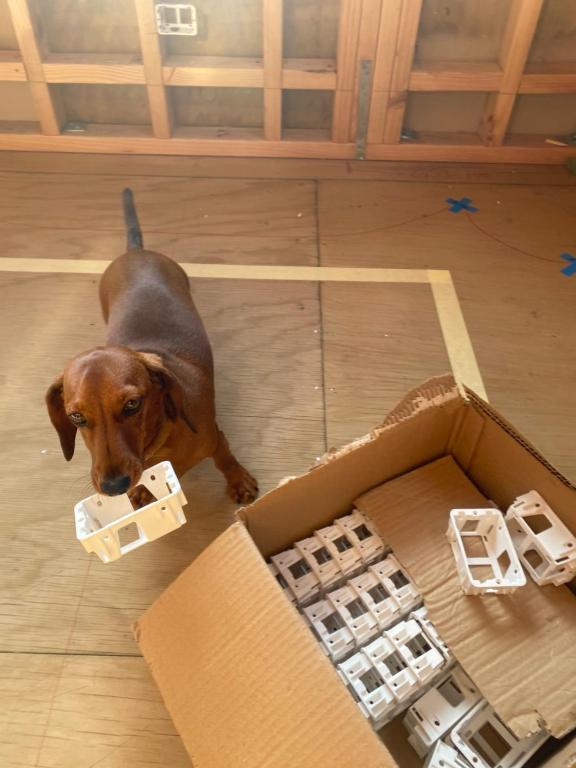 Long Dog Studio - Central city - Resim 15