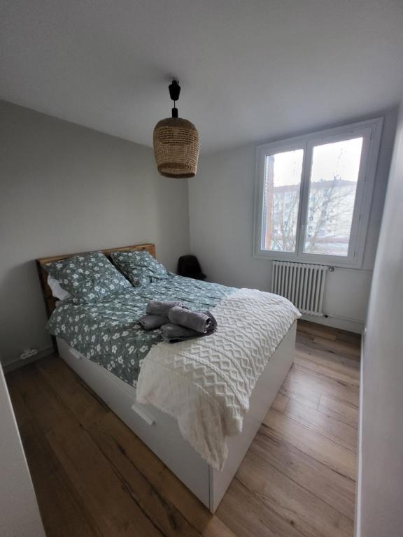 une chambre avec un lit et une fenêtre dans l'établissement chambre à louer, à Lyon