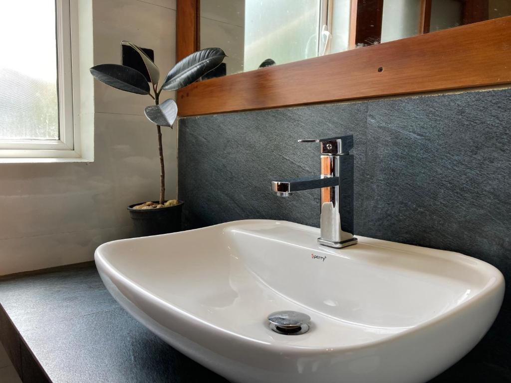 Lily Bank Cottage - 16