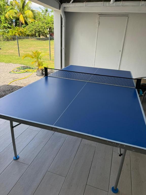 Stolní tenis v ubytování Villa Pampa nebo okolí