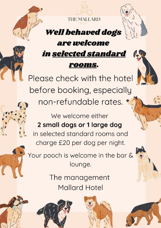 Fotografie z fotogalerie ubytování The Mallard Hotel v destinaci Gullane