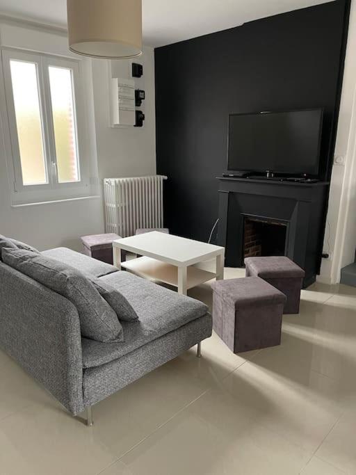 un salon avec un canapé et une cheminée dans l'établissement Maison 4 chambres avec jardin, à Châlette-sur-Loing