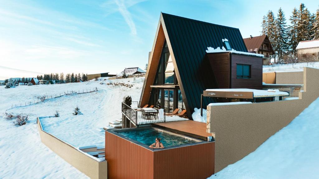 弗拉西克Euphoria - luxury villa的雪地里有一座带游泳池的房子