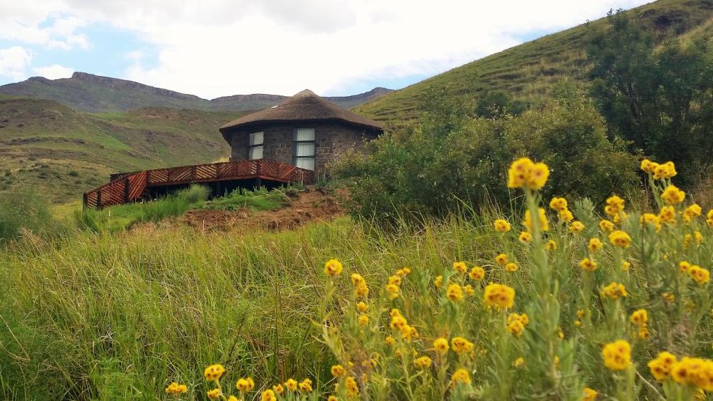 a building on a hill with a field of yellow flowers at Amanzi Empilo Bungalow in Rhodes