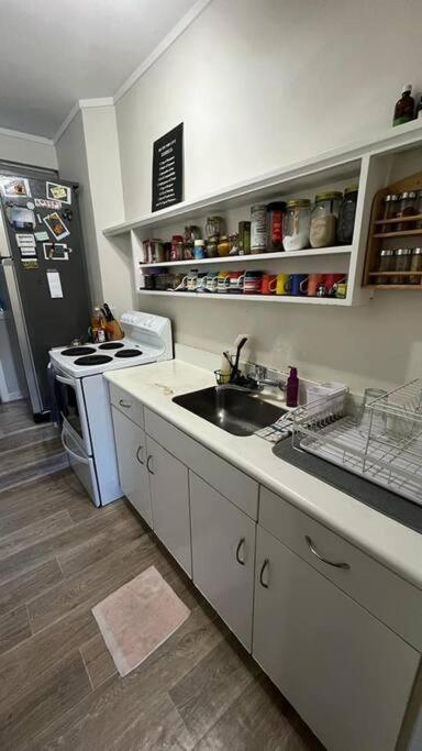 Cozy home in Remuera - Resim 8