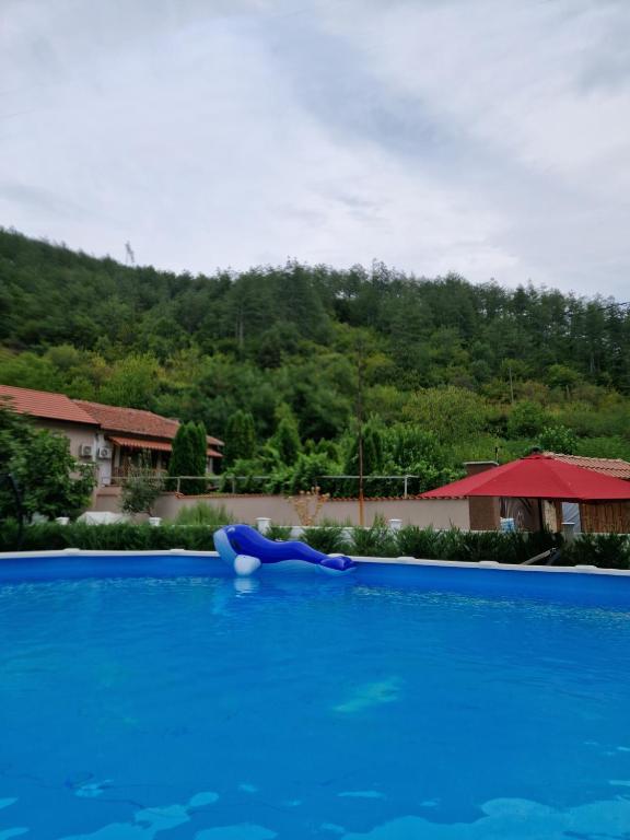 a person laying on the side of a swimming pool at Villa Popovi in Simitli