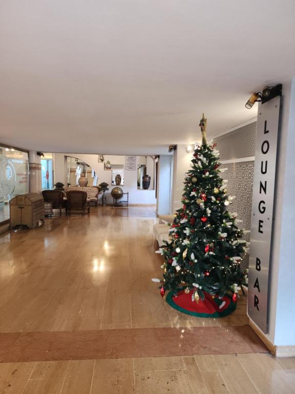 Vstupní hala nebo recepce v ubytování El Oumnia Puerto & Spa