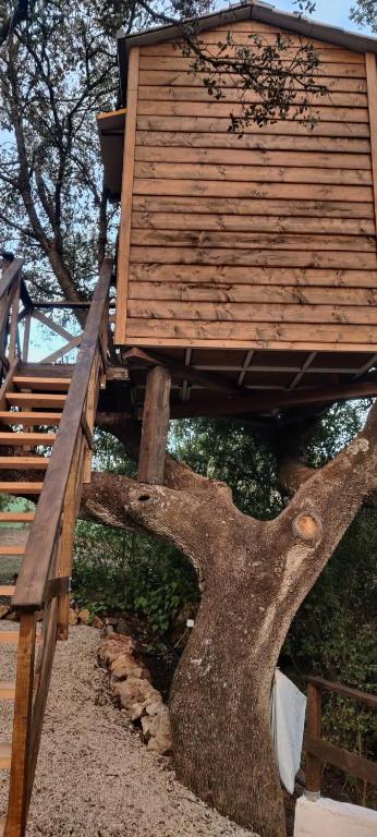 Cabaña del árbol Lavagarural - imagen 1