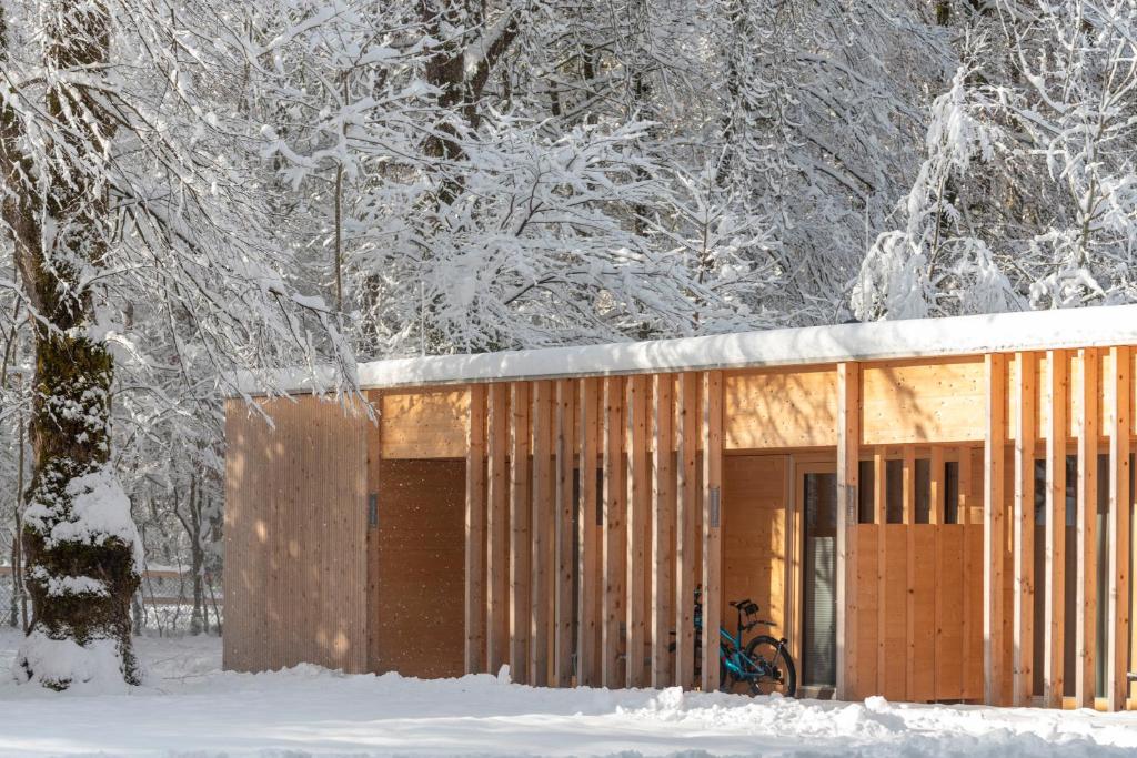 a house in the snow with snow covered trees at Apartment am Camping Dornbirn - 214 Staufen in Dornbirn