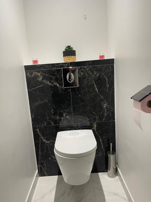 Koupelna v ubytování Appartement 3 pièces à 5 minutes de la gare de Creil