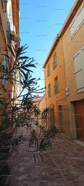 une usine devant deux bâtiments dans une rue dans l'établissement 4SOL25 - Collioure charmante maison de village 150 m de la plage, à Collioure