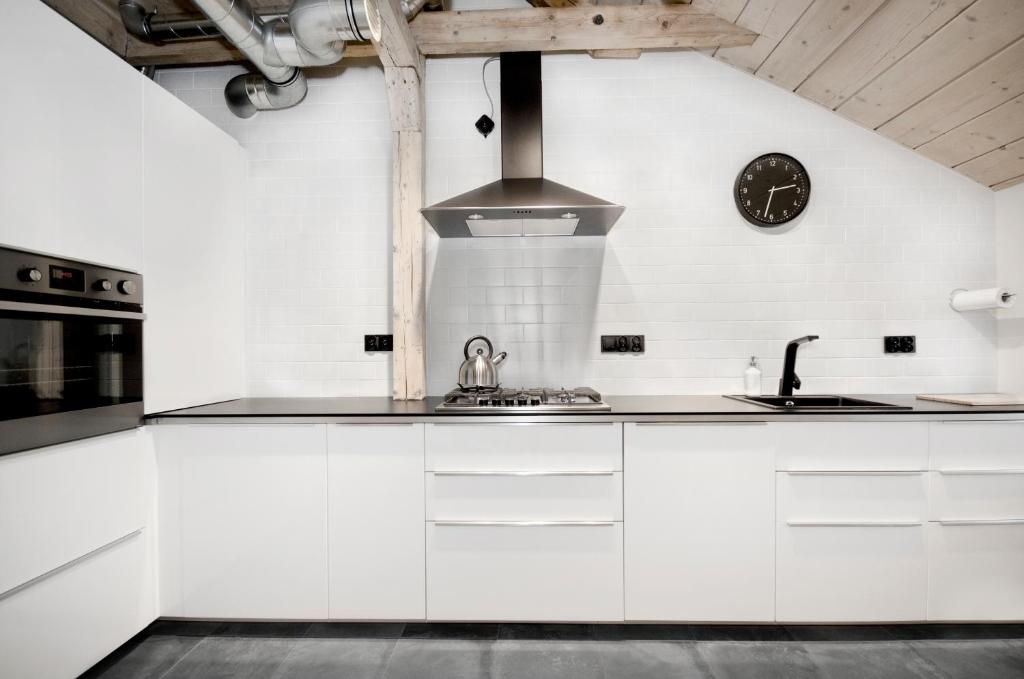 Kuchyňa alebo kuchynka v ubytovaní Apartament Świerkowy