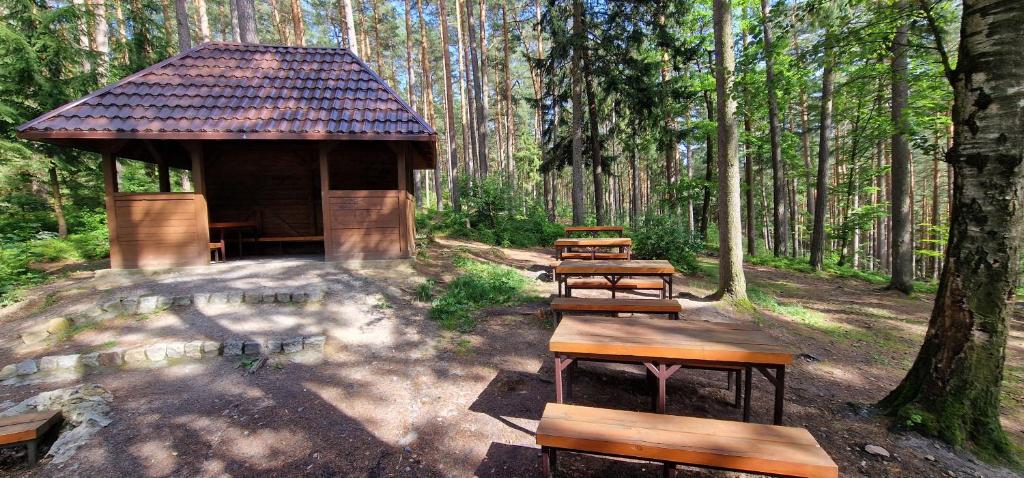 Príroda v okolí apartmánu