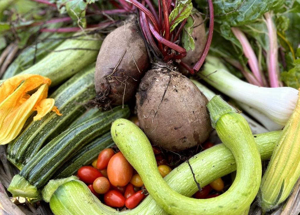 Jedzenie w gospodarstwie agroturystycznym lub w pobliżu