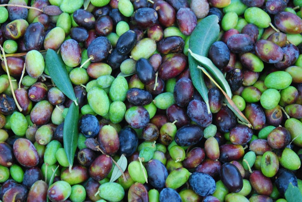 Jedzenie w gospodarstwie agroturystycznym lub w pobliżu