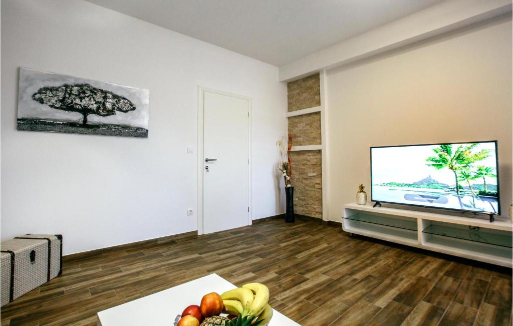 Televízia a/alebo spoločenská miestnosť v ubytovaní Nice Home In Donji Prolozac With Wifi