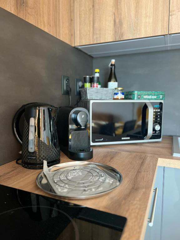 Kuchyň nebo kuchyňský kout v ubytování Harmonia Riva Apartmán B11