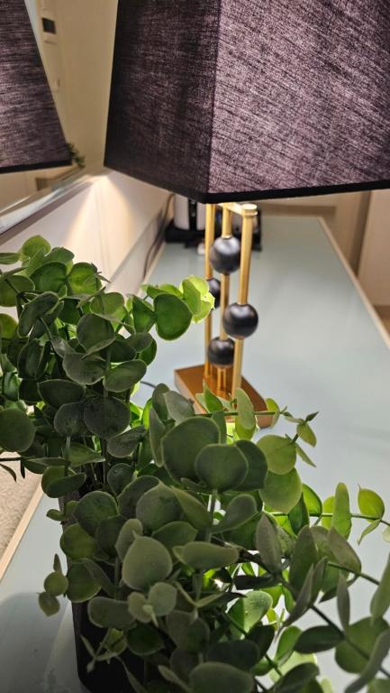 Galeriebild der Unterkunft Atlantis Boutique ΑΝΝΕX in Rhodos (Stadt)