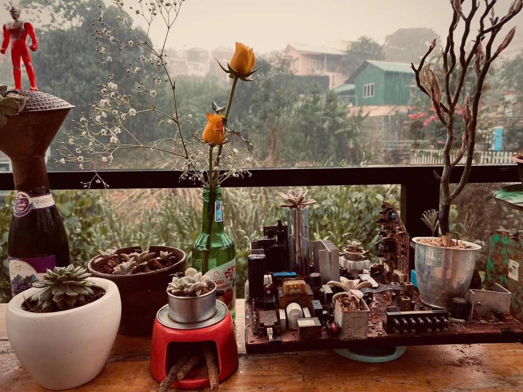 Photo from Bồ Công anh inn homestay in Ấp Xuân An, Lam Dong, Vietnam