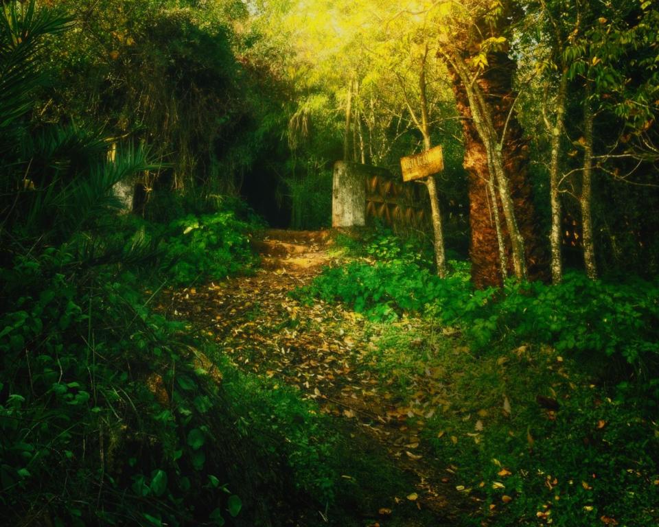 Paisaje cerca de este agroturismo