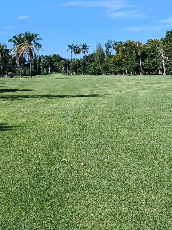 Golf v aparthotelu nebo okolí