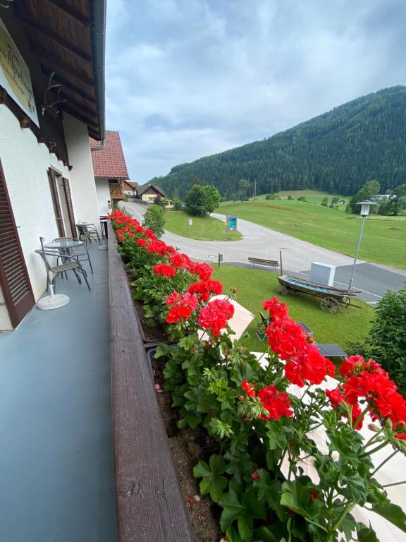 Nespecifikovaný výhled na hory nebo výhled na hory při pohledu z apartmánu