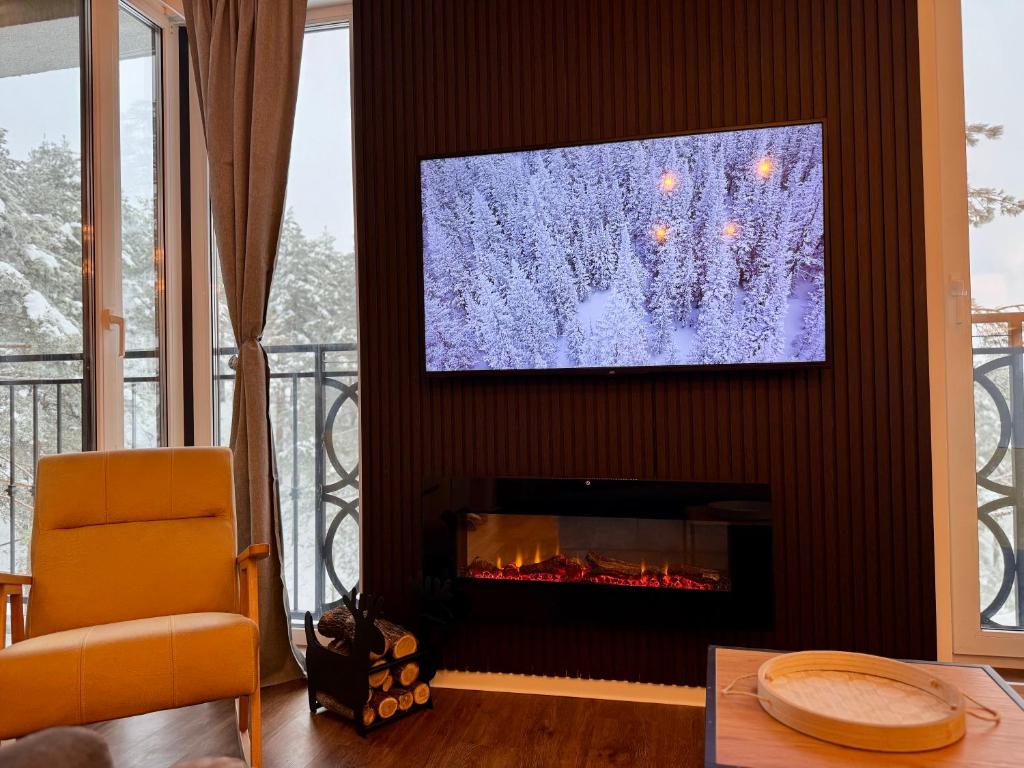 TV i/ili multimedijalni sistem u objektu DivciRaj