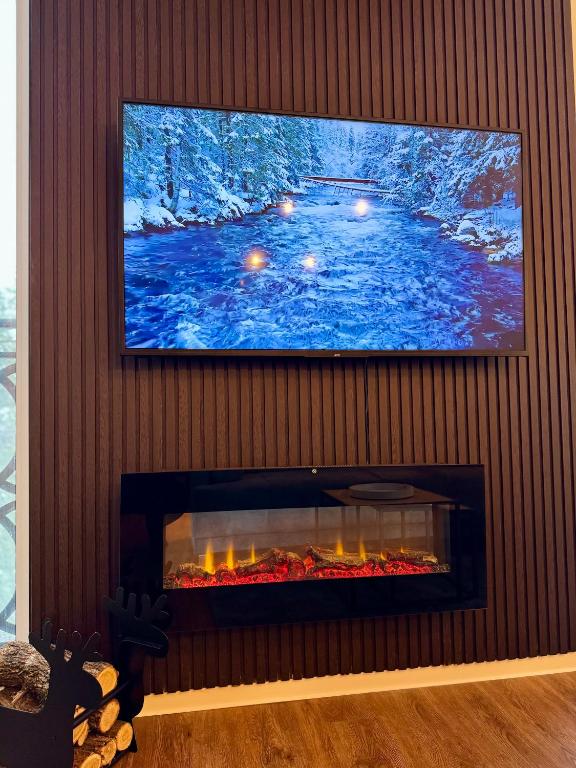 TV i/ili multimedijalni sistem u objektu DivciRaj