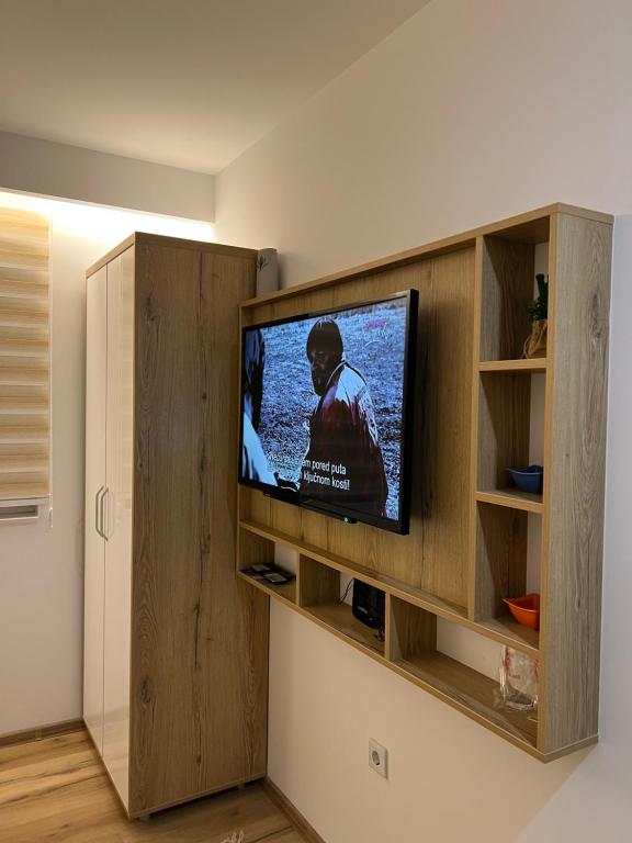 TV a/nebo společenská místnost v ubytování Honey Valley Bjelašnica