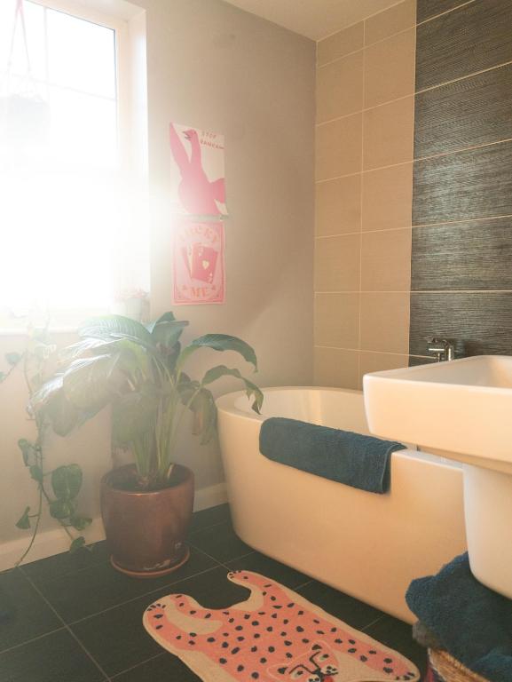 Fotografie z fotogalerie ubytování Luxury Studio Apartment - Belfast - Dundonald v destinaci Belfast
