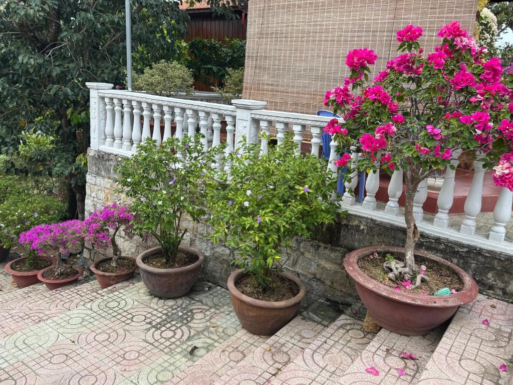 Zahrada ubytování Hoa Giấy Hilltop Retreat