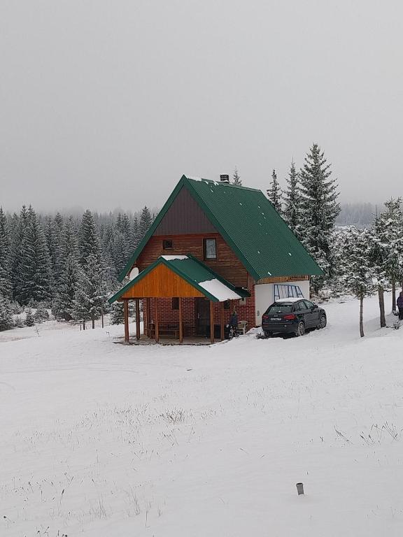 冬天的House in forest