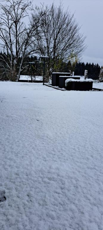Villa Baboune v zimě