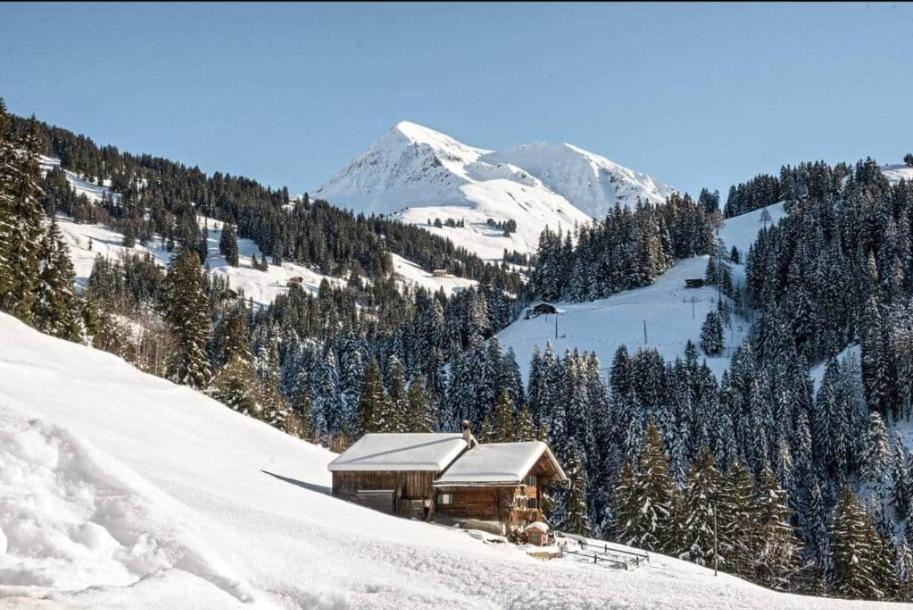 Chalet Halten v zimě
