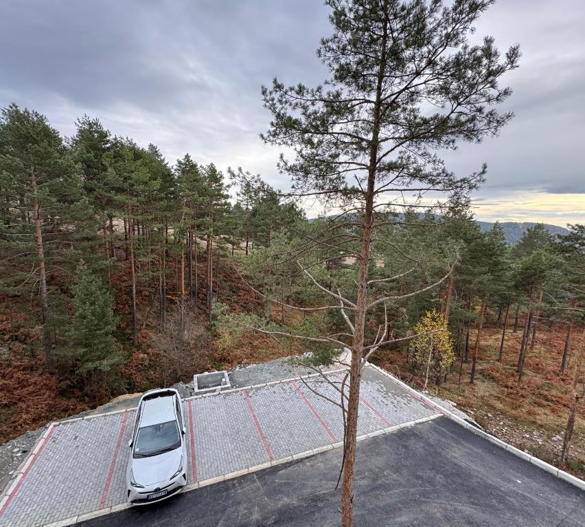 Priroda u blizini apartmana