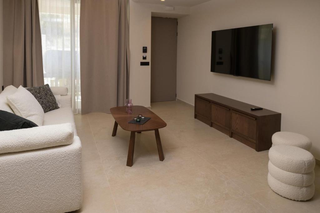 TV a/nebo společenská místnost v ubytování The Z Suites