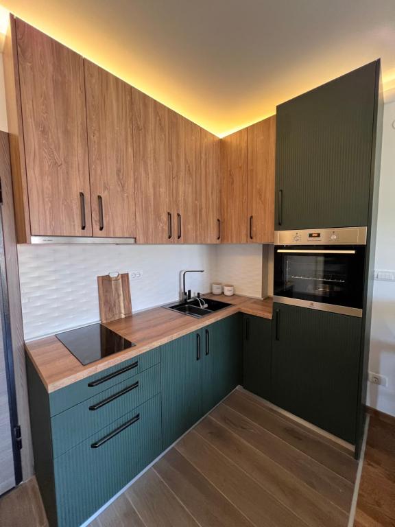 Una cocina con gabinetes verdes y un fregadero. en Apartman TARA, en Zlatibor