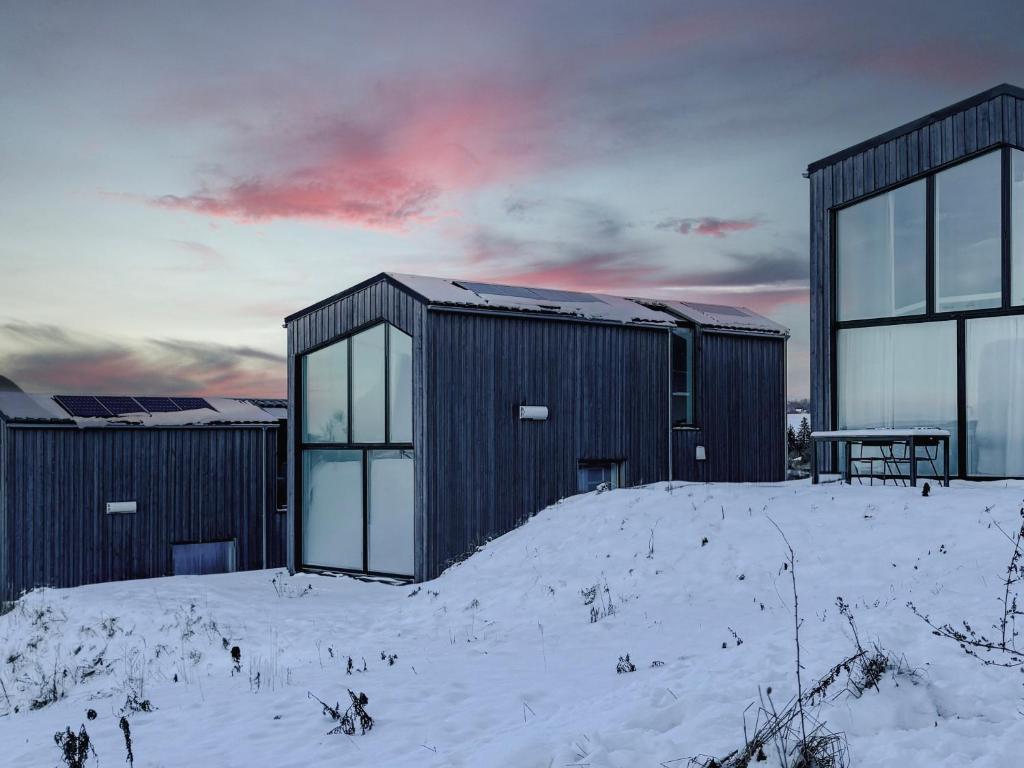 Scandi Micro House v zimě