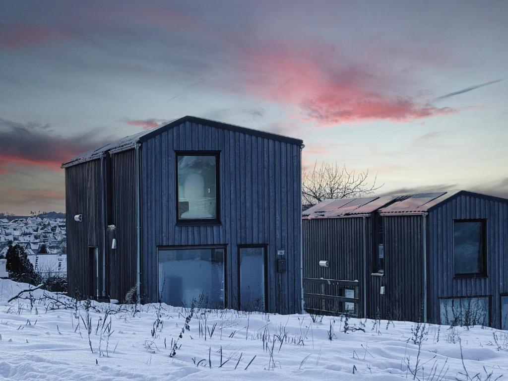 Scandi Micro House v zimě