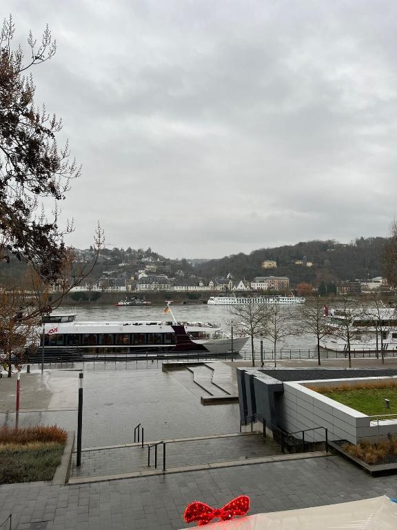 Rheinpanorama Suite mit Balkon