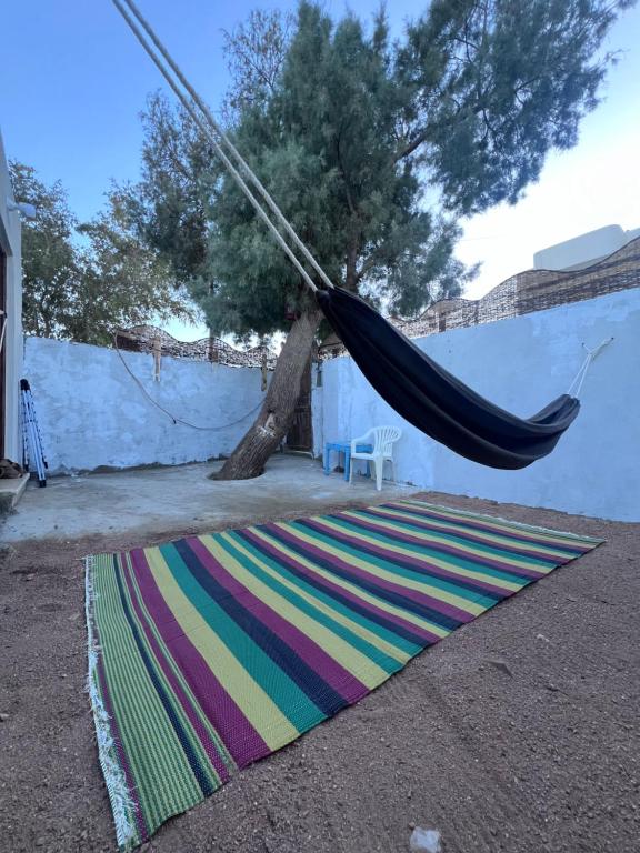 Fotografie z fotogalerie ubytování Tree house v destinaci Dahab