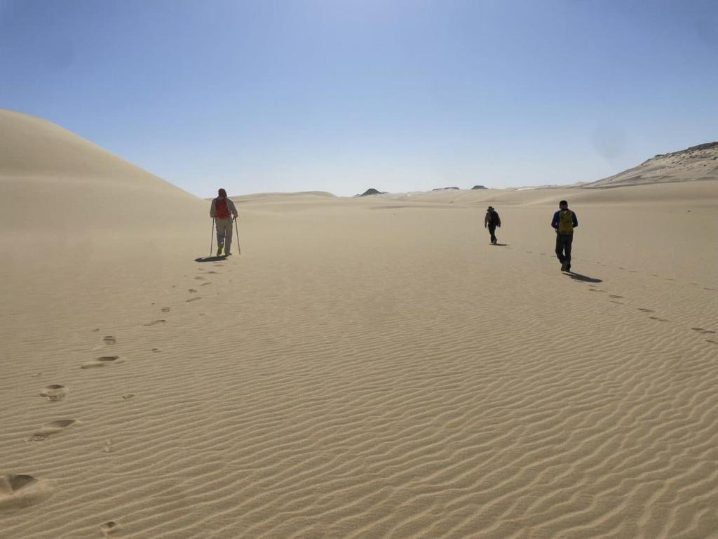 Hosté ubytování white desert egypt2