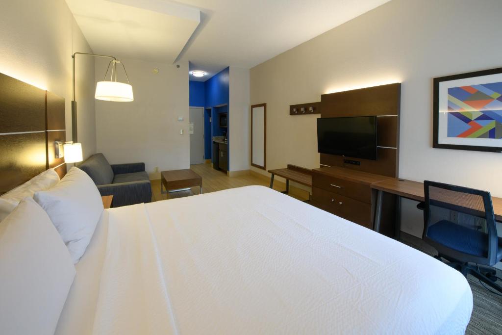 Holiday Inn Express Hotel & Suites Blythewood by IHG - Suite De Un Dormitorio