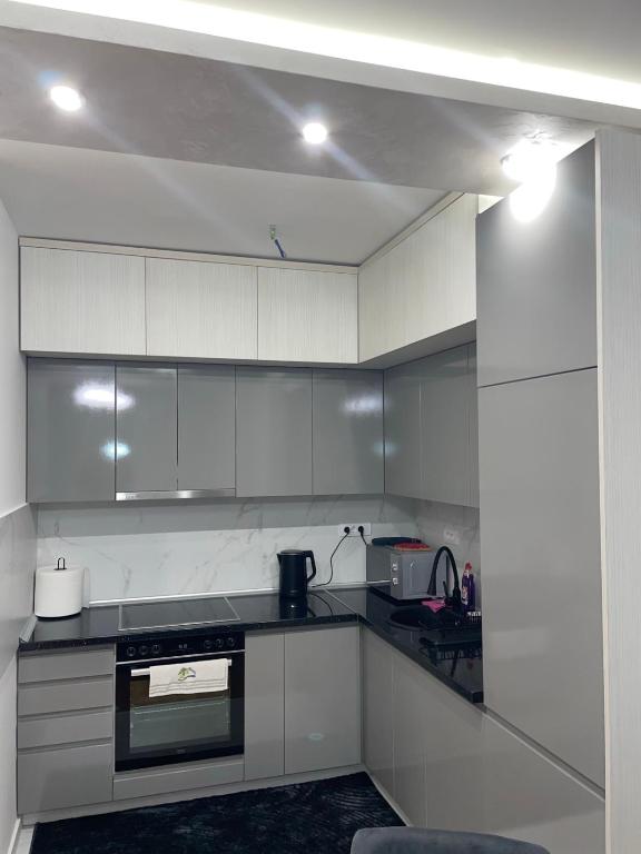 Kuchyň nebo kuchyňský kout v ubytování Ria apartman
